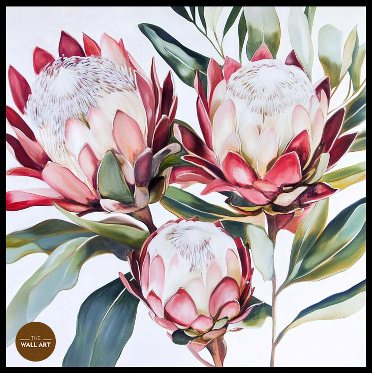 images/products/king_protea_ii/King_Protea Ii_BLACK_P.jpg